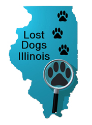 lost dogs illinois